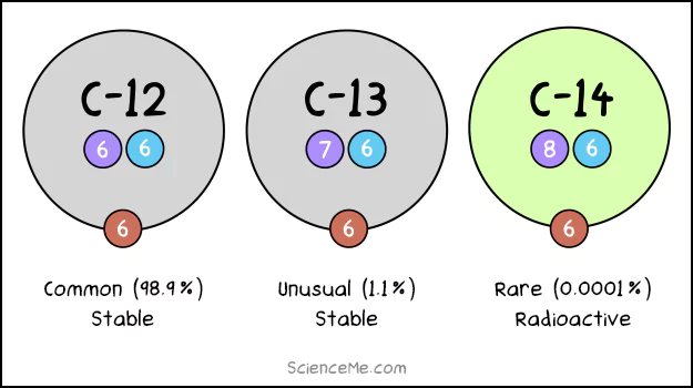 Carbon has three isotopes—C-12, C-13, and C-14—determined by the number of neutrons