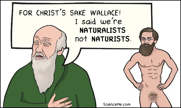 Darwin and Wallace cartoon