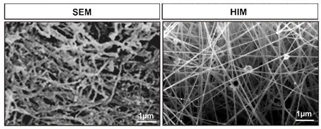 This fibrin matrix required coating with gold particles for viewing under SEM; HIM gives a better image resolution without any coating