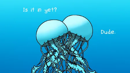 How Do Jellyfish Have Sex? The Jelly Lifecycle Illustrated