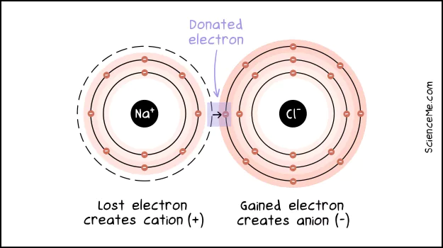 Ionic bonding involves electron donation to create positive and negative ions
