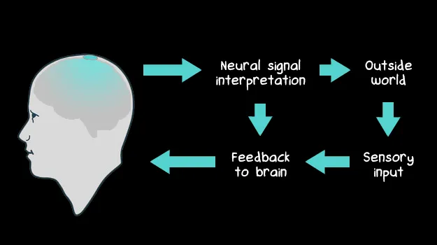 Neuralink technology works as an interpreter between the brain and the outside world, allowing direct brain—machine communication