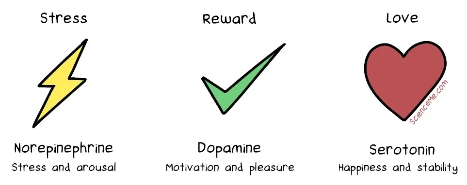 Norepinephrine, dopamine, and serotonin in depression