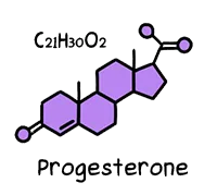 Progesterone molecule and chemical formula