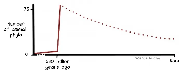 Graph showing the increase in the number of animal phyla during the Cambrian Explosion