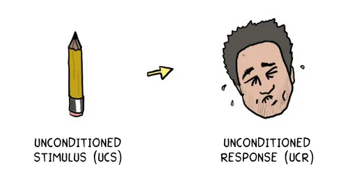 We start with an Unconditioned Stimulus (UCS) which elicits an Unconditioned Response (UCR).