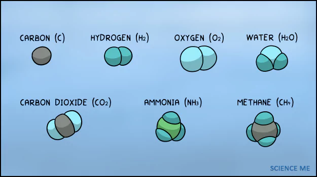 Illustration of what was in the primordial soup: carbon, hydrogen, oxygen, water, carbon dioxide, ammonia, and methane