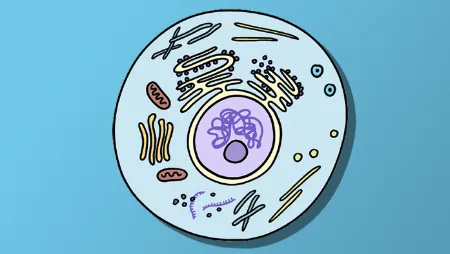 Where Do Cells Come From? A Dip in a Primordial Soup